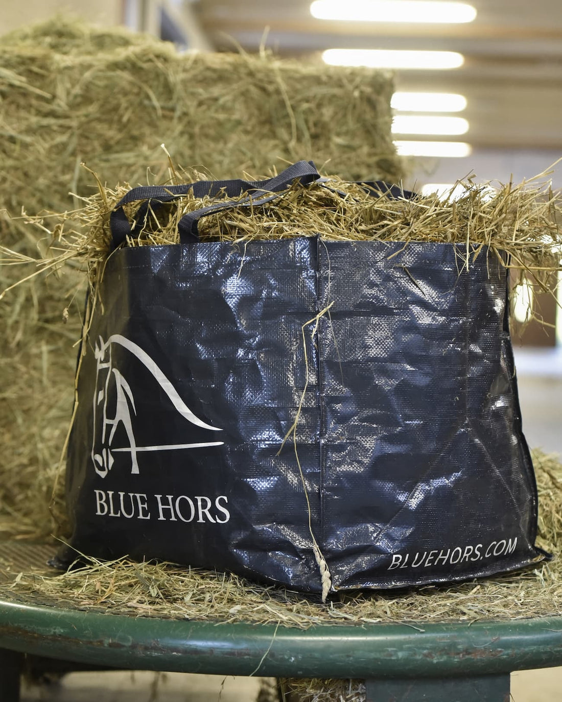 Blue Hors Hay Bag
