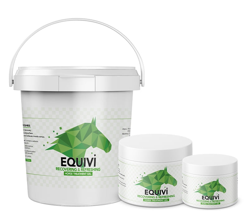 Equivi - Recovering Gel, 250ml