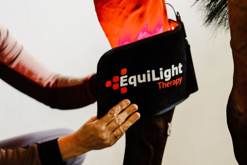 EquiLight